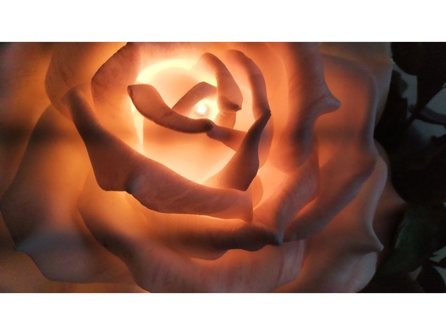 3D картина-светильник Розы.