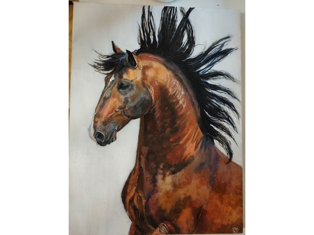Картина маслом "Андалузский конь"