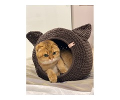 Вязаный домик для кота