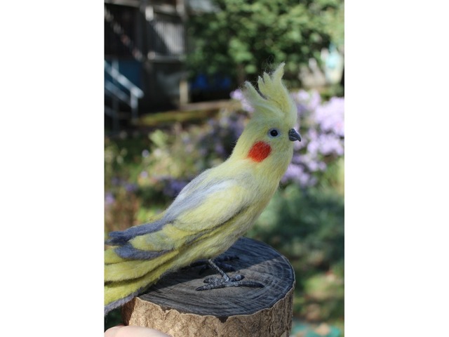 Корелла попугай валяна іграшка хендмєйд з вовни інтерєрна сувенір подарунок птиця папуга