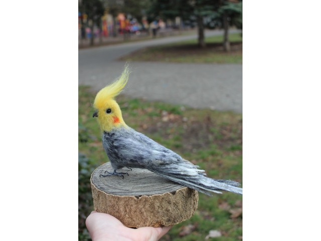 Іграшка валяні попугай Корелла з шерсті інтеоєрна птиця хендмєйд ручної роботи сувенір подарунок