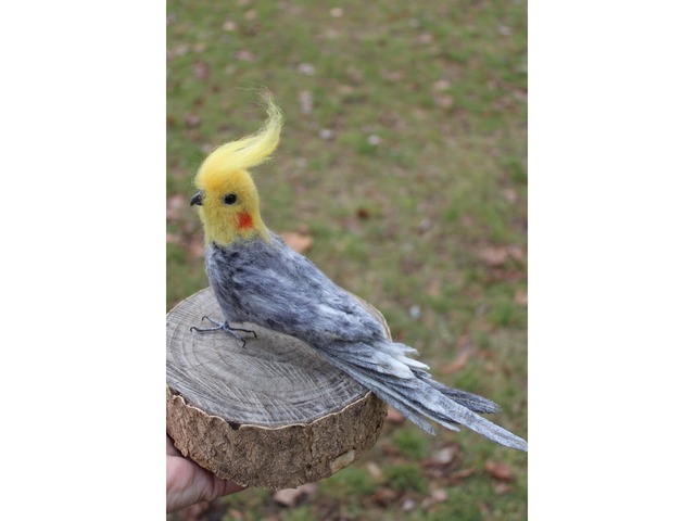 Іграшка валяні попугай Корелла з шерсті інтеоєрна птиця хендмєйд ручної роботи сувенір подарунок