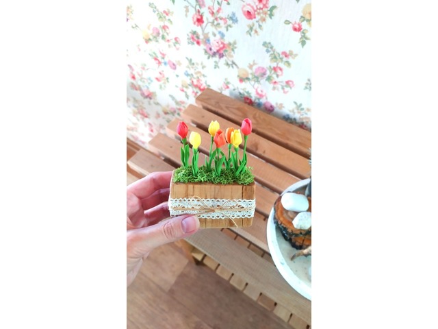 Мініатюра тюльпани