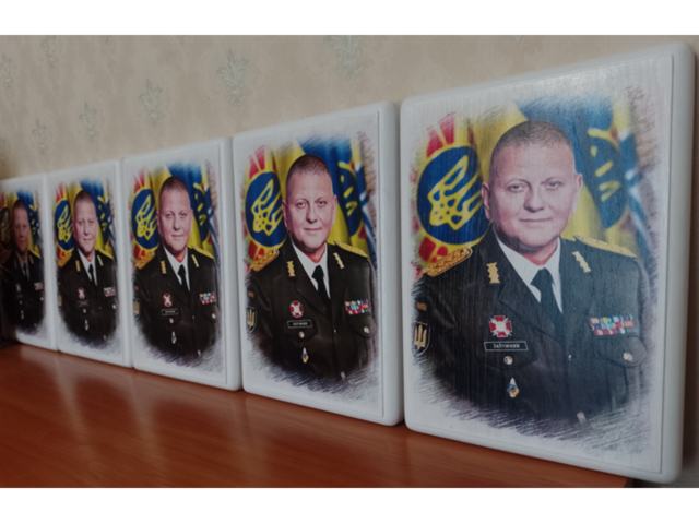 Портрет Валерия Залужного, патриотическая фото-картина купить Украина