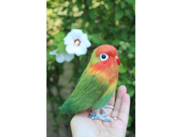 Неразлучник попугай валяна іграшка з шерсті папуга інтерєрна игрушка птица подарок сувенир