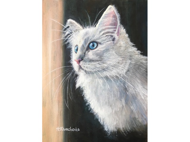 Картина «Неизвестный кот с голубыми глазами»