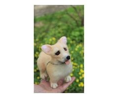 Коргі собачка валяна іграшка з шерсті інтерєрна собака войлочная сувенір