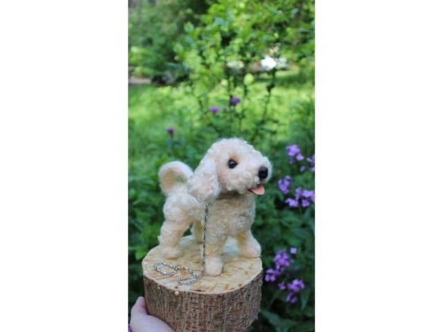 Мальтіпу реалістична собака валяна іграшка інтерєрна пес пудель хендмєйд подарунок собачка песик