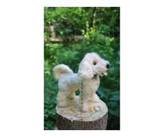 Мальтіпу реалістична собака валяна іграшка інтерєрна пес пудель хендмєйд подарунок собачка песик