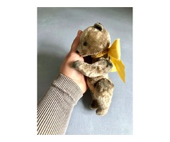 Ведмедик тедді плюш, тедди, іграшка ручна робота, подарунок на новий рік, мишка тедди, подарок