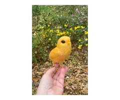 Ципленок валяна іграшка з шерсті хендмєйд інтерєрна пташка подарунок сувенір