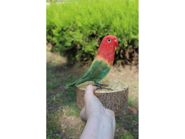 Неразлучник папуга іграшка валяна з шерсті інтерєрний попугай войлочний