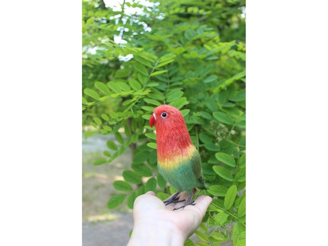 Неразлучник папуга іграшка валяна з шерсті інтерєрний попугай войлочний