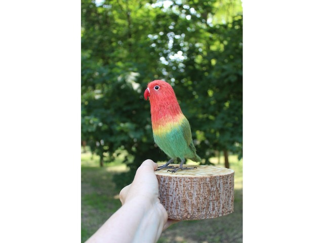 Неразлучник папуга іграшка валяна з шерсті інтерєрний попугай войлочний