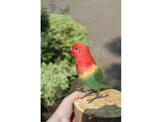 Неразлучник папуга іграшка валяна з шерсті інтерєрний попугай войлочний