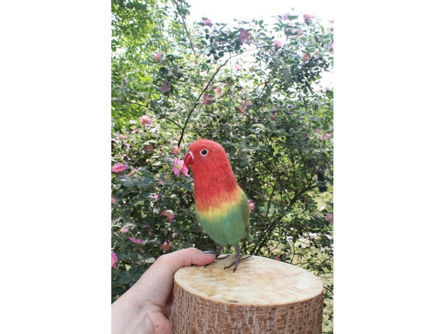 Неразлучник папуга іграшка валяна з шерсті інтерєрний попугай войлочний