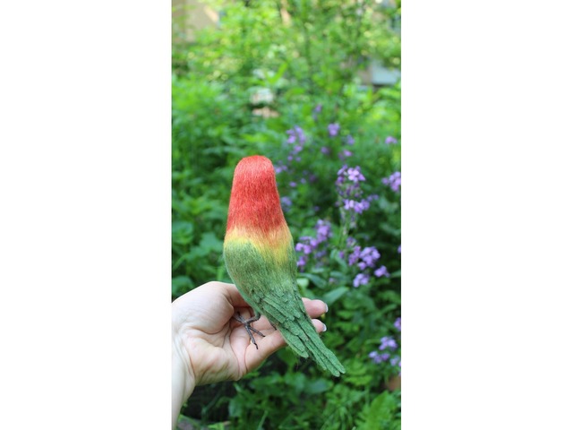 Неразлучник папуга іграшка валяна з шерсті інтерєрний попугай войлочний