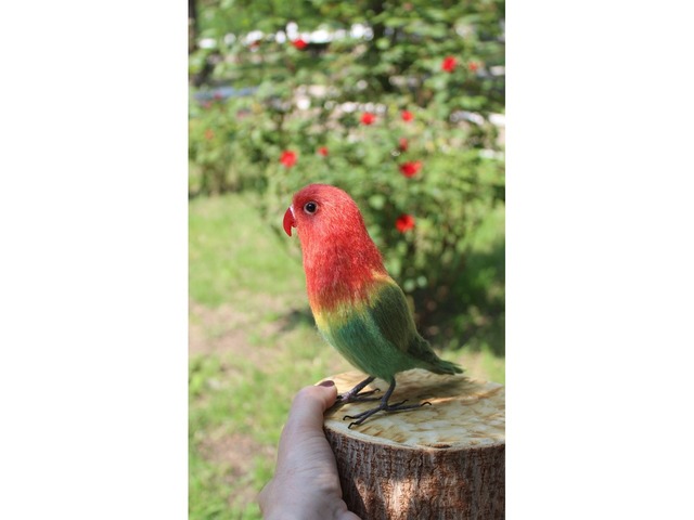 Неразлучник папуга іграшка валяна з шерсті інтерєрний попугай войлочний