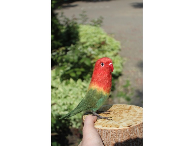 Неразлучник папуга іграшка валяна з шерсті інтерєрний попугай войлочний