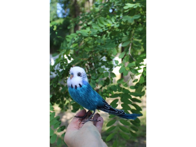 Папуга хвилястий іграшка валяна з шерсті інтерєрна пташка попугай волнистий сувенір подарунок