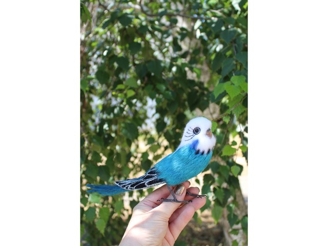 Папуга хвилястий іграшка валяна з шерсті інтерєрна пташка попугай волнистий сувенір подарунок