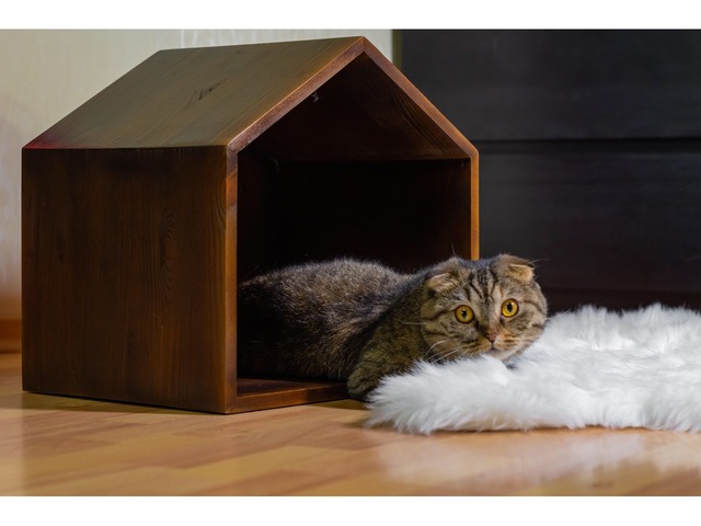 Крафт домик для котов или собачек