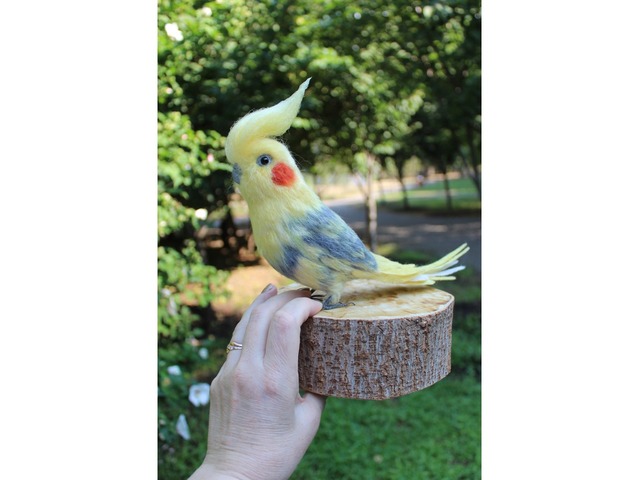 Корелла попугай іграшка валяна з шерсті хендмєйд птичка інтерєрна подарунок сувенір войлочний папуга