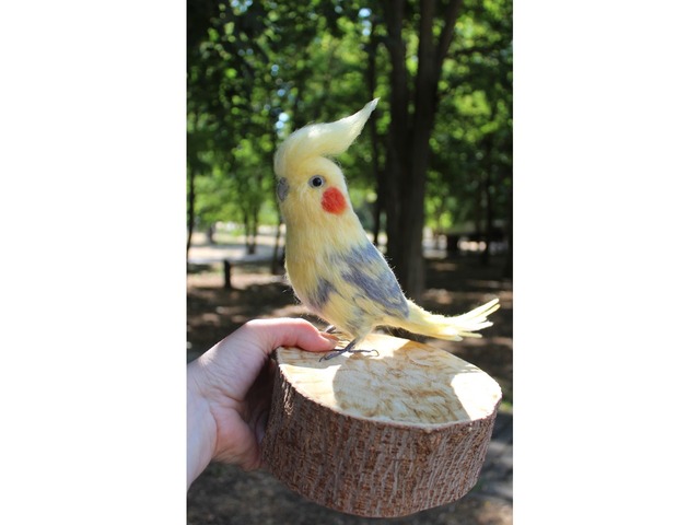 Корелла попугай іграшка валяна з шерсті хендмєйд птичка інтерєрна подарунок сувенір войлочний папуга