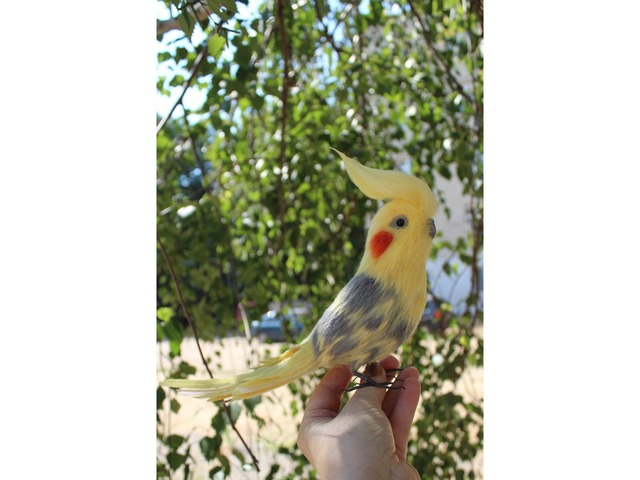 Корелла попугай іграшка валяна з шерсті хендмєйд птичка інтерєрна подарунок сувенір войлочний папуга