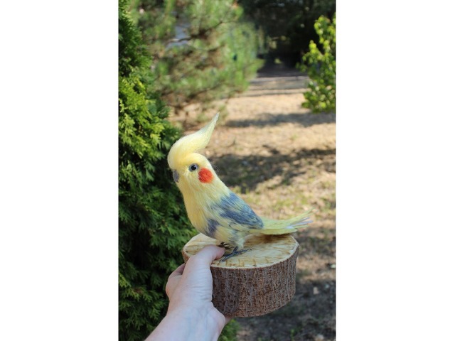 Корелла попугай іграшка валяна з шерсті хендмєйд птичка інтерєрна подарунок сувенір войлочний папуга