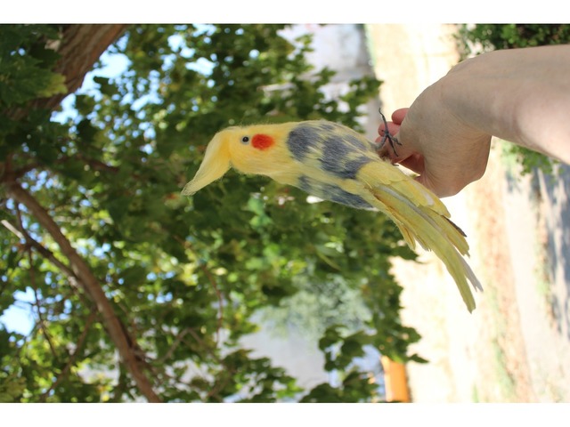 Корелла попугай іграшка валяна з шерсті хендмєйд птичка інтерєрна подарунок сувенір войлочний папуга