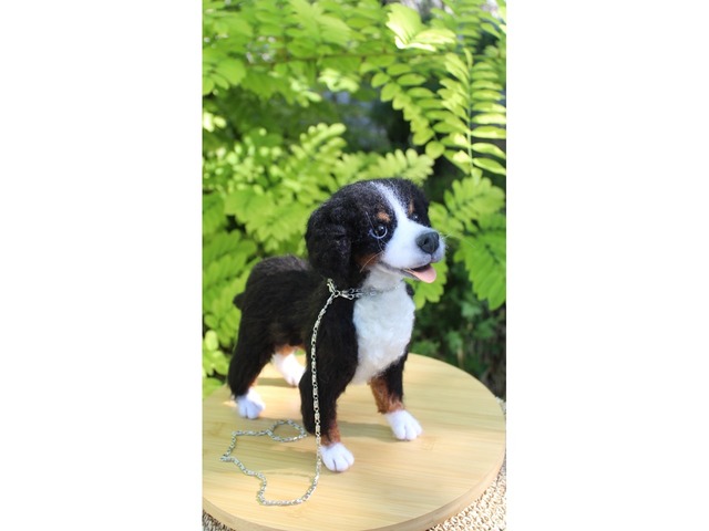 Валяна іграшка собака Бернский зенненхунд з шерсті інтерєрна пес хендмєйд скульптура войлочная