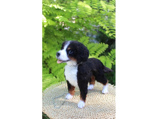 Валяна іграшка собака Бернский зенненхунд з шерсті інтерєрна пес хендмєйд скульптура войлочная