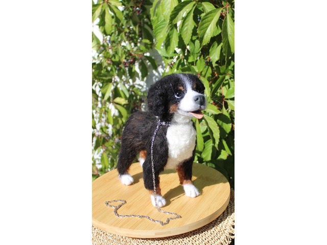 Валяна іграшка собака Бернский зенненхунд з шерсті інтерєрна пес хендмєйд скульптура войлочная