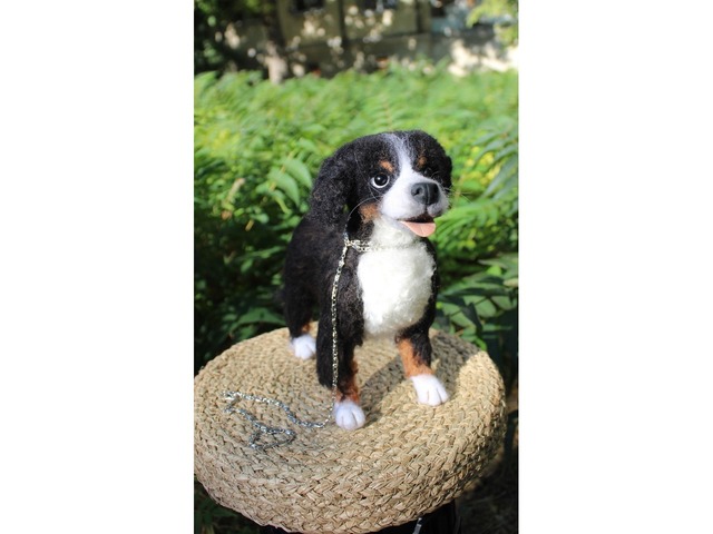 Валяна іграшка собака Бернский зенненхунд з шерсті інтерєрна пес хендмєйд скульптура войлочная