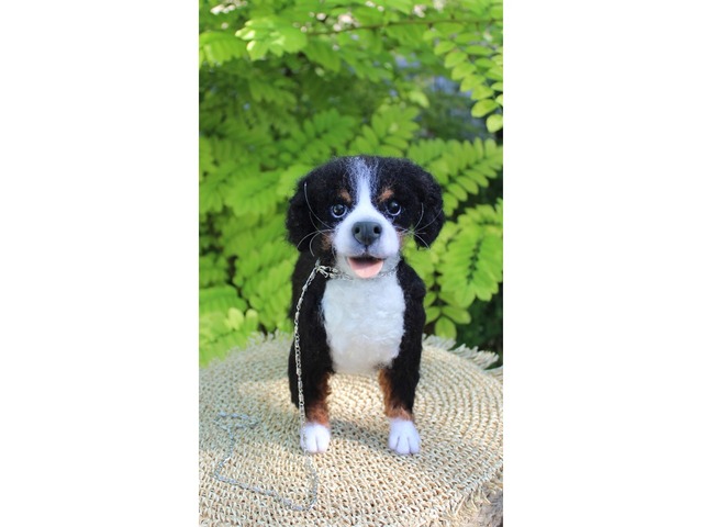 Валяна іграшка собака Бернский зенненхунд з шерсті інтерєрна пес хендмєйд скульптура войлочная