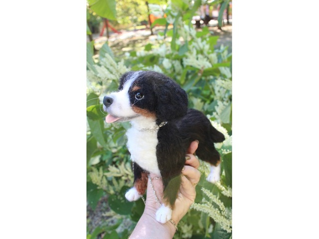 Валяна іграшка собака Бернский зенненхунд з шерсті інтерєрна пес хендмєйд скульптура войлочная