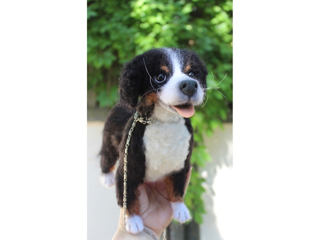 Валяна іграшка собака Бернский зенненхунд з шерсті інтерєрна пес хендмєйд скульптура войлочная