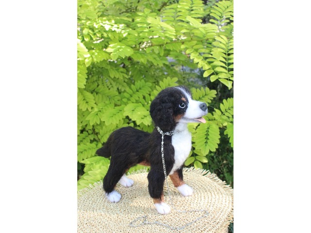 Валяна іграшка собака Бернский зенненхунд з шерсті інтерєрна пес хендмєйд скульптура войлочная