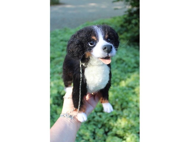 Валяна іграшка собака Бернский зенненхунд з шерсті інтерєрна пес хендмєйд скульптура войлочная