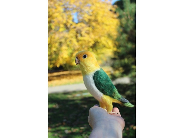 Валяна іграшка папуга Каик з шерсті птица інтерєрна войлочная подарунок хендмєйд сувенір