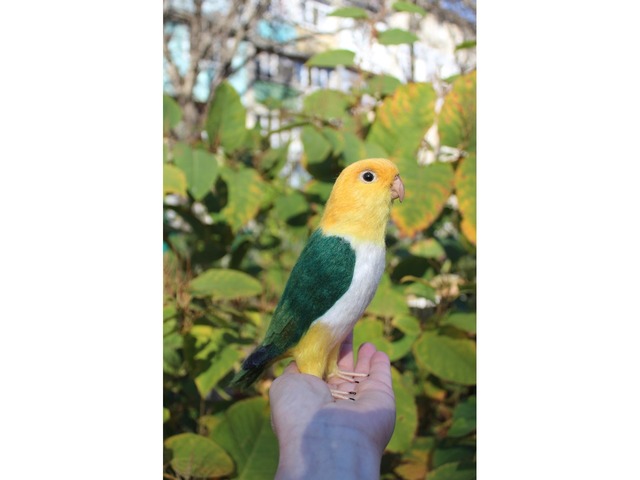 Валяна іграшка папуга Каик з шерсті птица інтерєрна войлочная подарунок хендмєйд сувенір