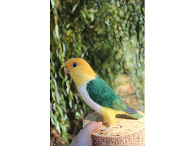 Валяна іграшка папуга Каик з шерсті птица інтерєрна войлочная подарунок хендмєйд сувенір