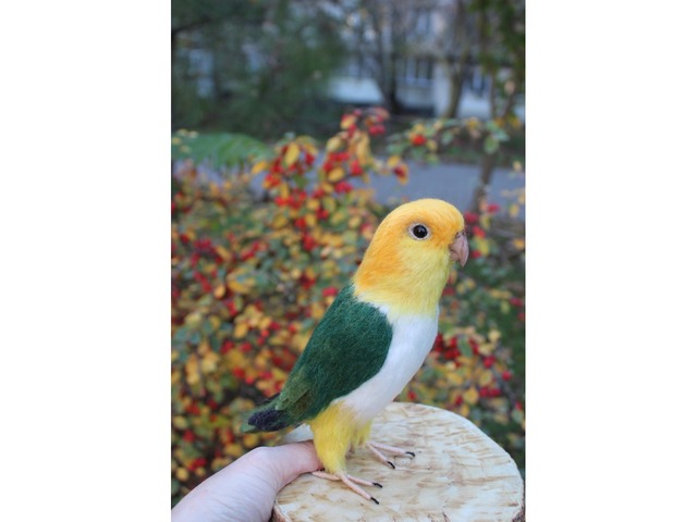 Валяна іграшка папуга Каик з шерсті птица інтерєрна войлочная подарунок хендмєйд сувенір