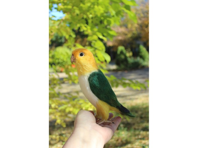 Валяна іграшка папуга Каик з шерсті птица інтерєрна войлочная подарунок хендмєйд сувенір