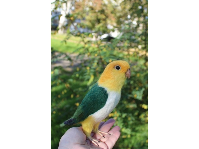 Валяна іграшка папуга Каик з шерсті птица інтерєрна войлочная подарунок хендмєйд сувенір