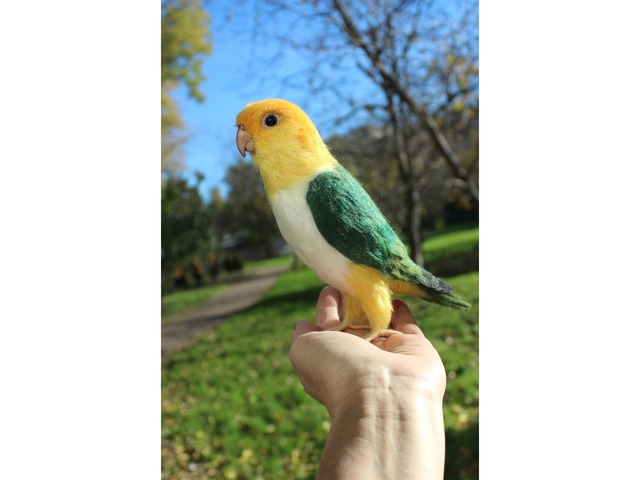 Валяна іграшка папуга Каик з шерсті птица інтерєрна войлочная подарунок хендмєйд сувенір