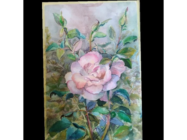 Акварель, роза