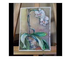 Акварель, фалинопсис