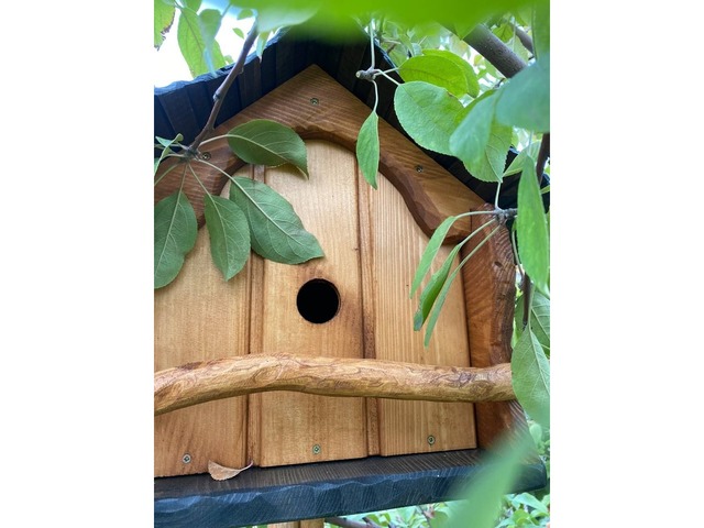 Годівниця-шпаківня